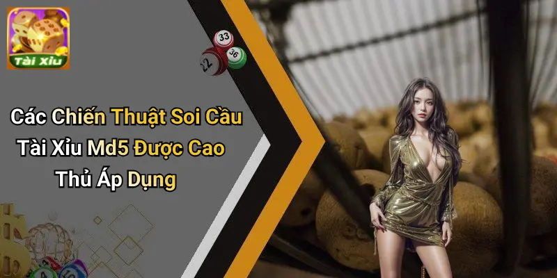 Soi Cầu Tài Xỉu MD5