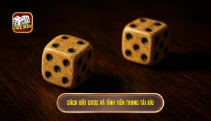 cách đặt cược và tính tiền trong tài xỉu