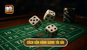 cách vận hành game tài xỉu