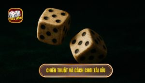 chiến thuật và cách chơi tài xỉu