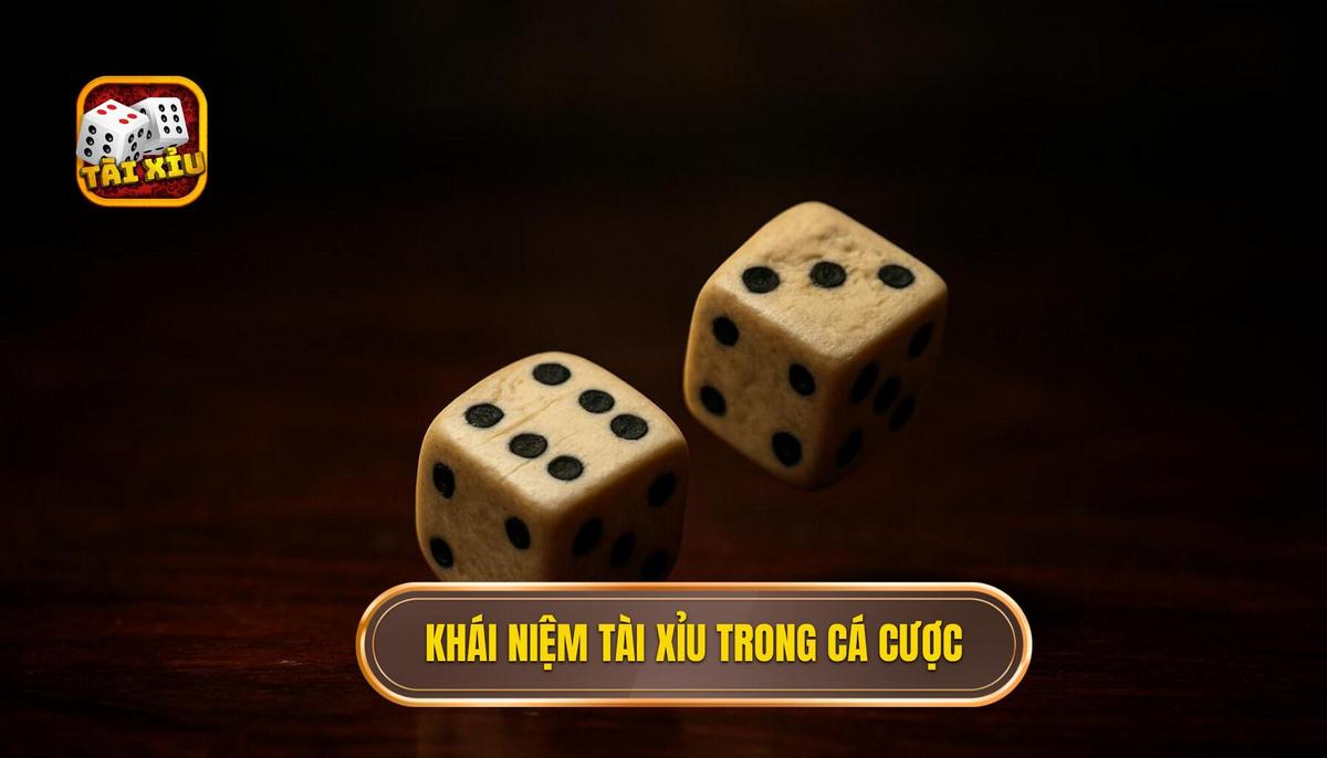 Khái niệm tài xỉu hòa và cơ chế vận hành trong cá cược
