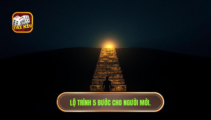 Lộ trình 5 bước: Người mới nên bắt đầu như thế nào?