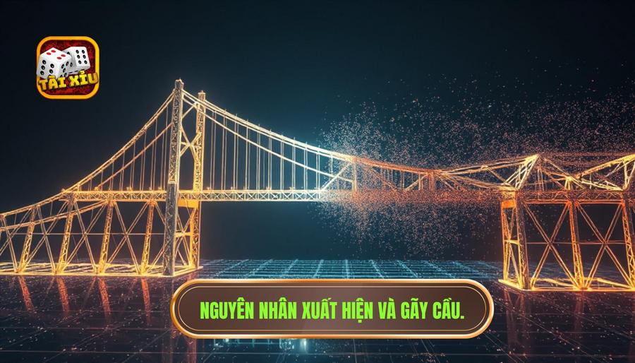Bảng tổng hợp đặc điểm các loại cầu