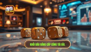 Người mới nên bắt đầu như thế nào để chiến thắng tại Tài Xỉu?