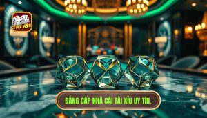 Có nên theo cầu tài xỉu hay không? Phân tích chuyên sâu từ góc nhìn cao thủ
